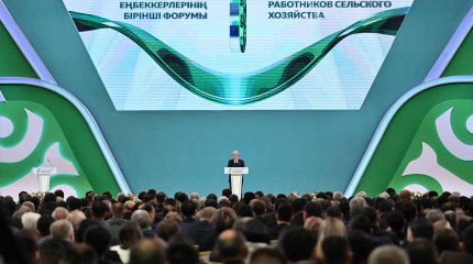 Не допустить обвала цен на урожай поручил Токаев