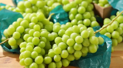Ауыл шаруашылығы министрі танымал "шайн мускат" жүзімінің дәмін көріп, тексерістен өткізетінін айтты