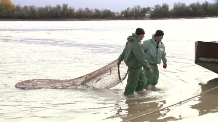 Атыраулық балықшылар  лимитті игере алмауы мүмкін