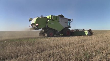 Финансирование весенне-полевых работ 2025 года начнется уже в ноябре, - Минсельхоз