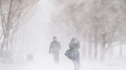 Дауылды ескерту жариялады