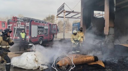 Двое мужчин обожгли руки во время попытки потушить пожар в Алматинской области