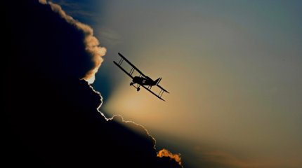 Гусь врезался в самолет и ранил пилота в Канаде