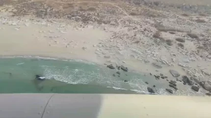 Каспийде итбалық әлі де қырылып жатыр