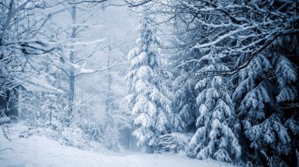 Обширный Сибирский антициклон надвигается на север Казахстана