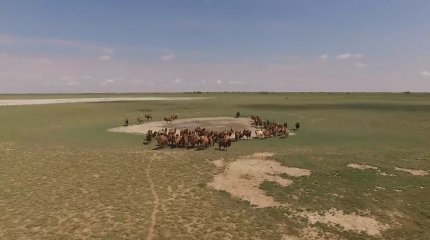 БҚО-да "Жер аманаты" жобасы 171% орындалды