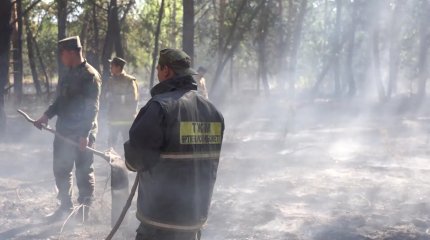 Более 21 миллиарда тенге должен выплатить экс-директор Басаманского лесхоза за крупный пожар в Костанайской области