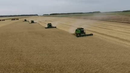 Қызылжарда ауыл шаруашылығы күні атап өтілді