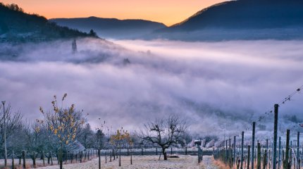 Туманное воскресенье ждёт жителей Астаны и Алматы