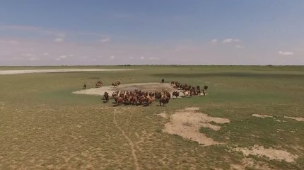 “Ауыл аманаты» стал народным проектом - партия "AMANAT"