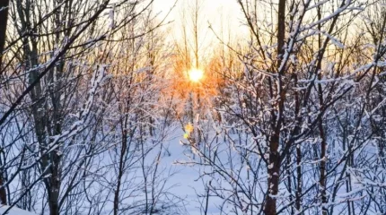 Погоду без осадков прогнозируют во всех мегаполисах Казахстана во вторник