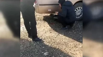 Алматының іргесінде оқыс оқиға: шағын автобус жеті жасар баланы басып кетті