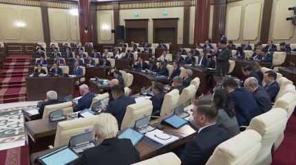 «Астықты ала жаздай маңдай термен жинайтын диқандарға қолдау жоқ», - депутат