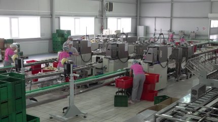 Қызылжарда “Радуга” серіктестігі Ресейге 700 млн теңгенің тауарын экспорттаған