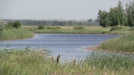 Балама су көздері пайдаланылады