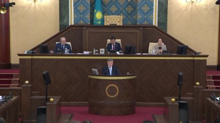 «Өздері би, өздері қожа»: депутаттар министрлерді сынады