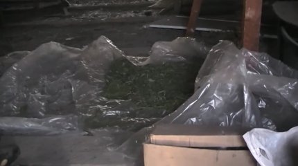 «До 20 лет тюрьмы или пожизненное»: уголовную ответственность за производство и распространение наркотиков ужесточили в Казахстане
