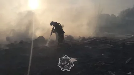 БҚО-да жиналған шөп өртеніп, 14 бас мал қырылды