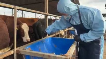 Сибирскую язву диагностировали еще у одного жителя Атырау