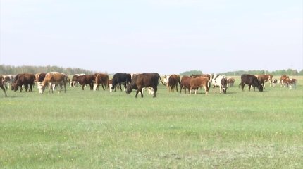 В Костанайской области 1 миллион га земли возвращены в собственность государства