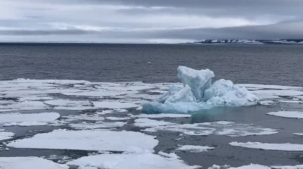 Арктикада мұздық еріп жатыр