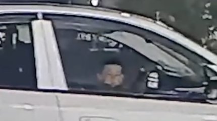 Алматы облысында кішкентай бала отырған көлік жүріп кетті