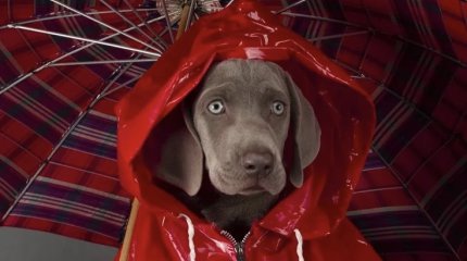 Штормовое предупреждение объявлено в 18 регионах в субботу, 30 ноября