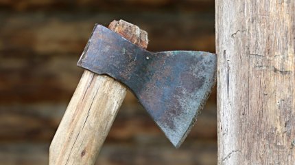 Топор, нож, катана и бейсбольные биты: участнику жуткой драки под Парижем отрубили руку
