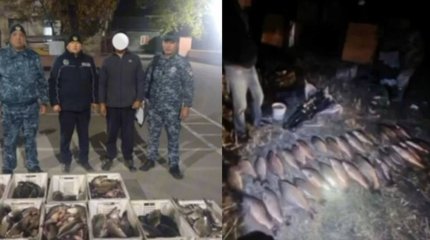 Алматы облысында заңсыз балық тасымалдау дерегі анықталды