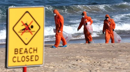 Разгадана «загадка» черных шаров на пляжах Австралии