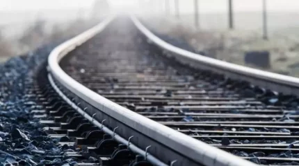 Пойыз машинисі киіктерді жолдан өткізгені үшін жұмыстан қуылған ба?