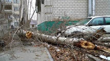 Павлодарда қатты дауыл бір адамның өмірін қиды