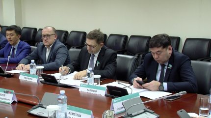 Елімізде сирек кездесетін құстар қырылып жатыр