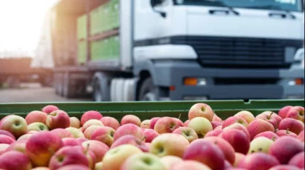 Алма тиелген 8 жүк көлігі шекарада заңсыз тұрып қалған