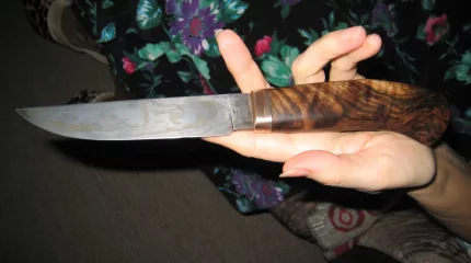 10-летняя девочка убила старшую сестру за требование помыть посуду