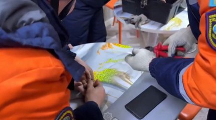 Спортсмену понадобилась помощь спасателей на тренировке в Усть-Каменогорске