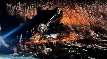 Водитель погиб при столкновении с лошадями в Павлодарской области