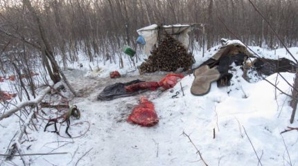 Похитил лошадь и прятался в самодельной землянке: скотокрада задержали в СКО