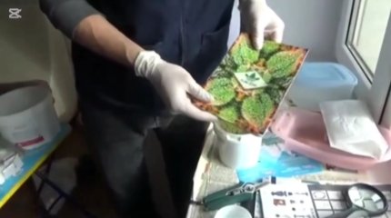 Крупную партию наркотиков обнаружили полицейские на балконе двух жителей Караганды