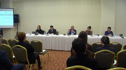 Более 30 тысяч птиц ежегодно погибают на линиях электропередач в Казахстане