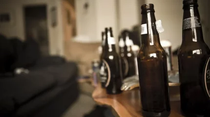 Түркістан облысында ондаған мың шөлмек ішімдік шығарған заңсыз үш цех табылды