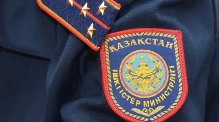 Абай облысында студент виза аламын деп алаяққа алданып қалды