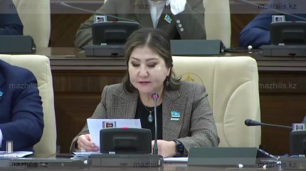 "Құрылыс объектілерінің таныстырылымы дардай, бірақ іс-жүзінде оған мүлде сай келмейді" , - депутат
