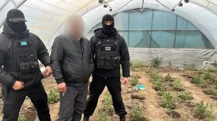 Қызылорда облысында есірткі зертханасының көзі жойылды