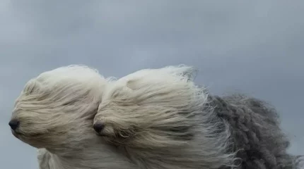 В Астане сильный ветер, в Шымкенте +6: прогноз погоды на четверг, 12 декабря