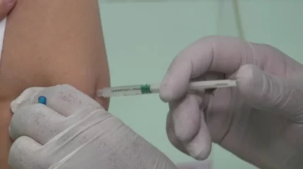 Маймылдар шабуылы: Вьетнамнан оралған тұрғындар шұғыл екпе салды