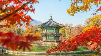 Парламент проголосовал за импичмент президента Южной Кореи