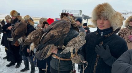 Баянауылда еліміздің үздік бүркітшілері бас қосты