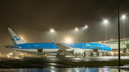 Экстренную посадку совершил самолёт на Бермудах из-за свиней на борту