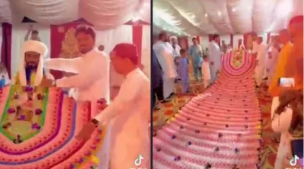 Ер адам үйлену тойына ақшадан жасалған он метрлік шлейф киген